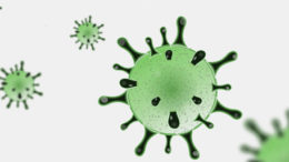 Coronavirus Covid19