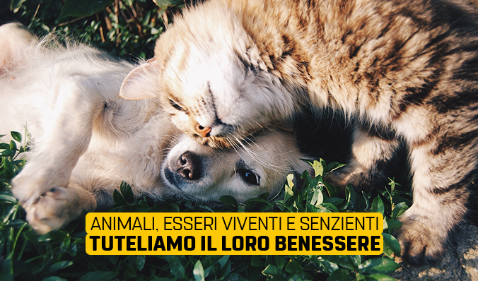 Tutela degli animali: esseri senzienti